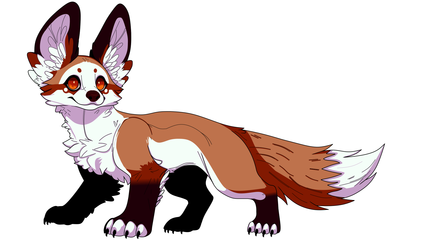 Salamander Foxpup